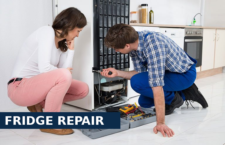 Fridge Repair West Ealing
